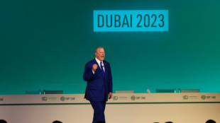 Ex-US-Vizepräsident Gore prangert bei Klimakonferenz Emirate wegen Emissionen an