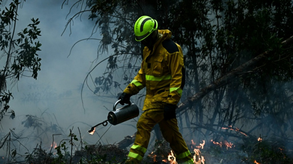  France, Spain eye wildfire reprieve as other blazes start up in Europe 