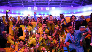 Coupe de France: la belle soir&eacute;e de Nantes
