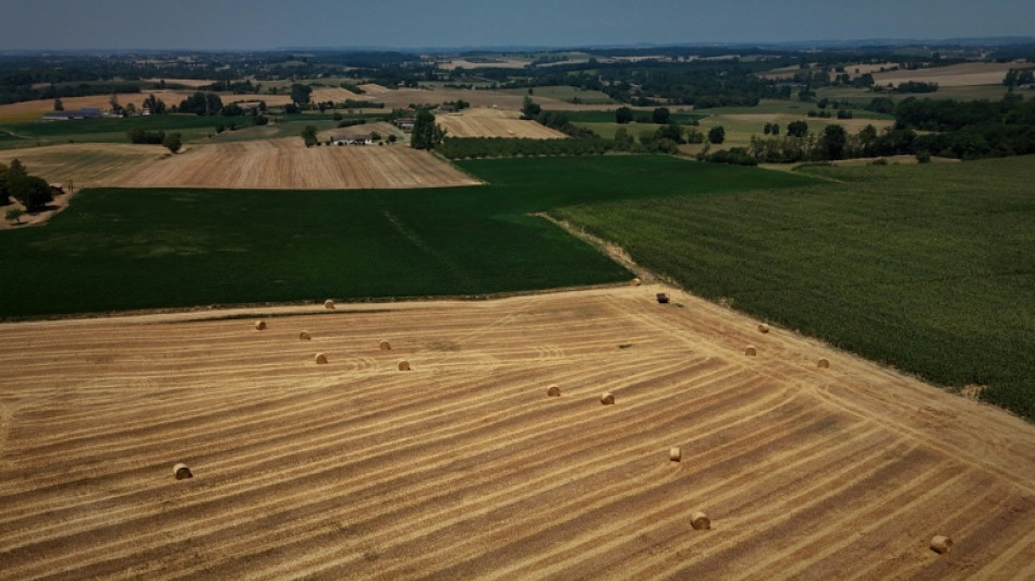  France unveils 1 bn euro farm aid package after climate-hit summer 