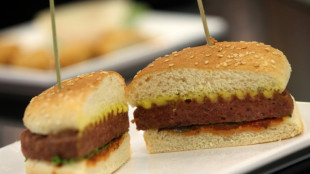 Les substituts v&eacute;g&eacute;taux &agrave; la viande et au lait tr&egrave;s b&eacute;n&eacute;fiques pour la nature et le climat