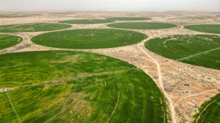 Pour planter son bl&eacute;, l'Irak puise dans les nappes phr&eacute;atiques