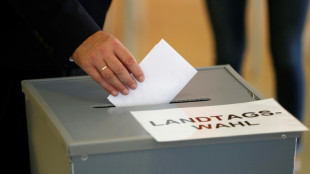 Umfrage: AfD verliert in Sachsen-Anhalt - BSW aus dem Stand zweistellig