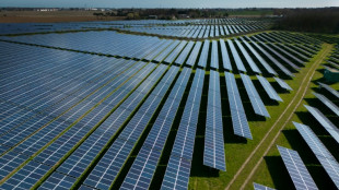 EU eröffnet Anti-Subventionsuntersuchung gegen zwei chinesische Solarhersteller