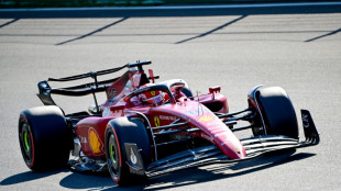 Leclerc tops final Dutch GP practice ahead of Russell and Verstappen