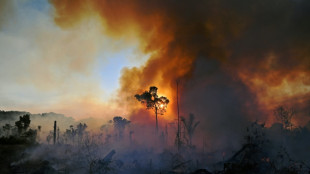 Amazonia brasileña registra deforestación récord para mes de abril