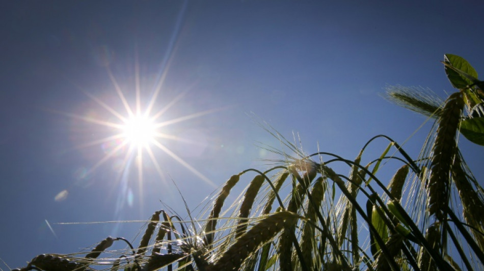 Wegen Hitze und Sonnenlicht: 1500 Krankenhausbehandlungen j&auml;hrlich