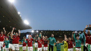 England enttäuscht - Ungarn stürmt an die Tabellenspitze 