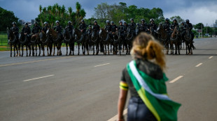 Brasiliens Sicherheitskräfte räumen Protestcamps und nehmen 1500 Bolsonaro-Anhänger fest