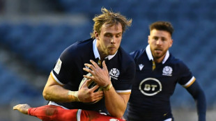 Scotland boss Townsend picks veterans Gray and Cherry for Six Nations