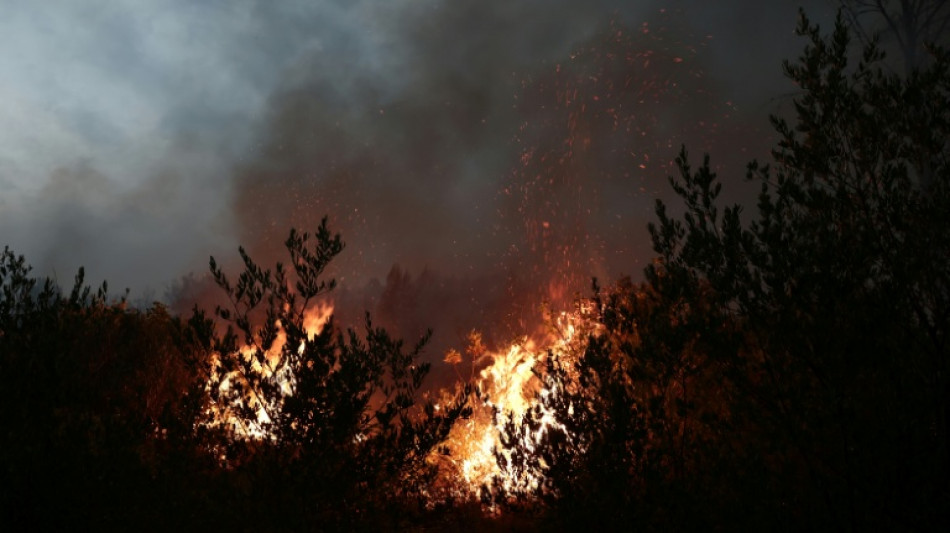  Neuer Waldbrand in S&uuml;dfrankreich: Mehr als 200 Feuerwehrleute im Einsatz 