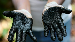 Sabotagem em oleoduto provoca vazamento de petróleo na Amazônia equatoriana