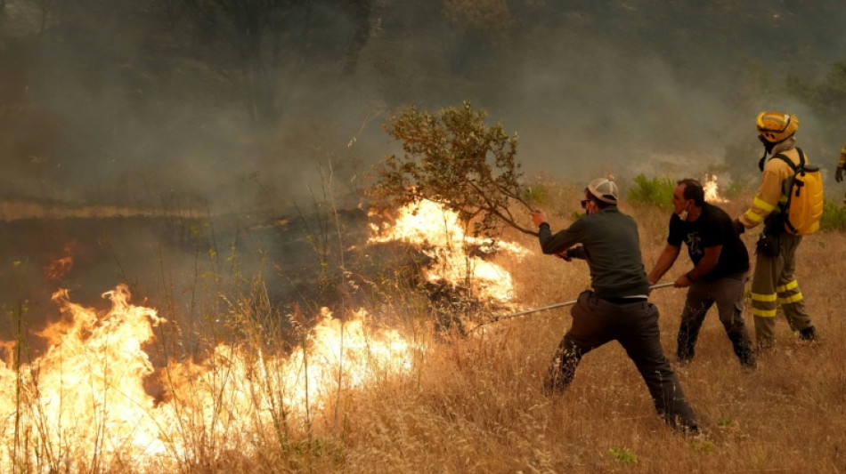  Spain fights to 'save lives' as wildfire evacuees shelter in Madrid 