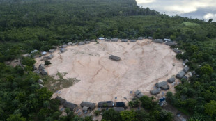 Climat: des pays accus&eacute;s de "jouer" avec les for&ecirc;ts pour r&eacute;duire leur ambition