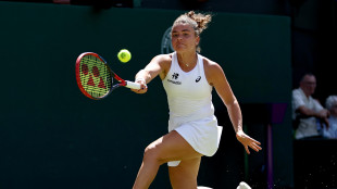 Wimbledon: Paolini, anno duro ma penso di essere sulla strada giusta