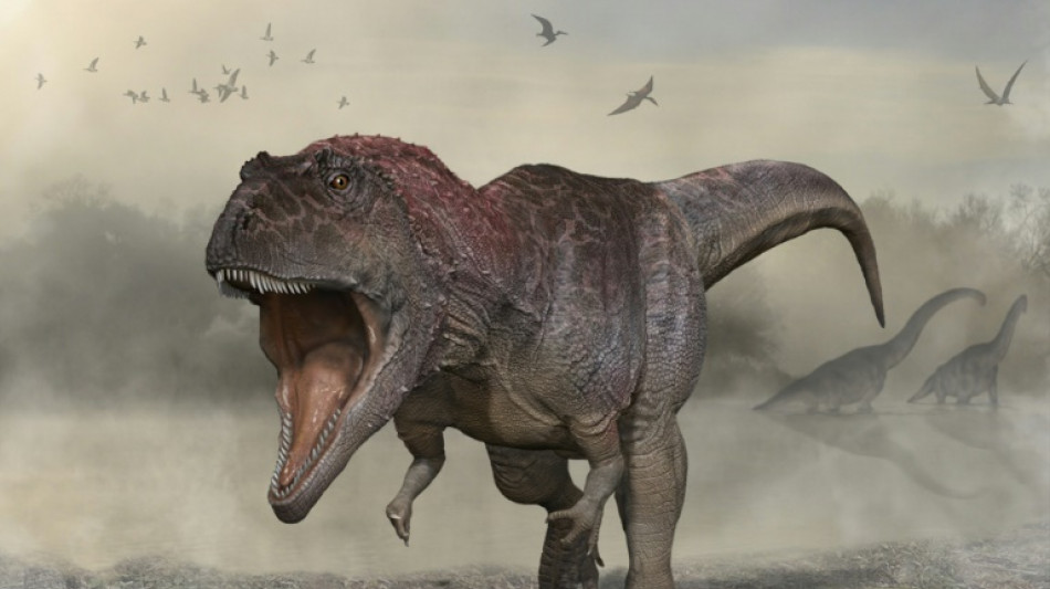 New giant dinosaur predator discovered with tiny arms, like T. rex