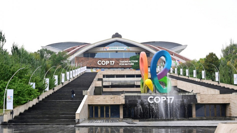  La COP17 sur la biodiversit&eacute; s'ouvre avec un mot d'ordre : il faut en faire plus 