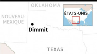 Etats-Unis: 18.000 vaches tu&eacute;es dans l'explosion d'une ferme