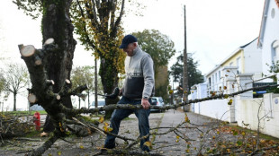 Sturm "Ciaran" erreicht über Frankreich Rekord-Windgeschwindigkeiten - ein Toter