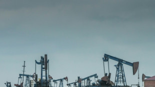 Les livraisons de p&eacute;trole russe via l'Ukraine interrompues (entreprise russe)