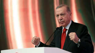 Türkei erlässt wegen Gazakriegs Exportbeschränkungen gegen Israel