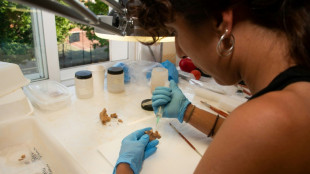 Descubren en Espa&ntilde;a el f&oacute;sil humano posiblemente m&aacute;s antiguo de Europa