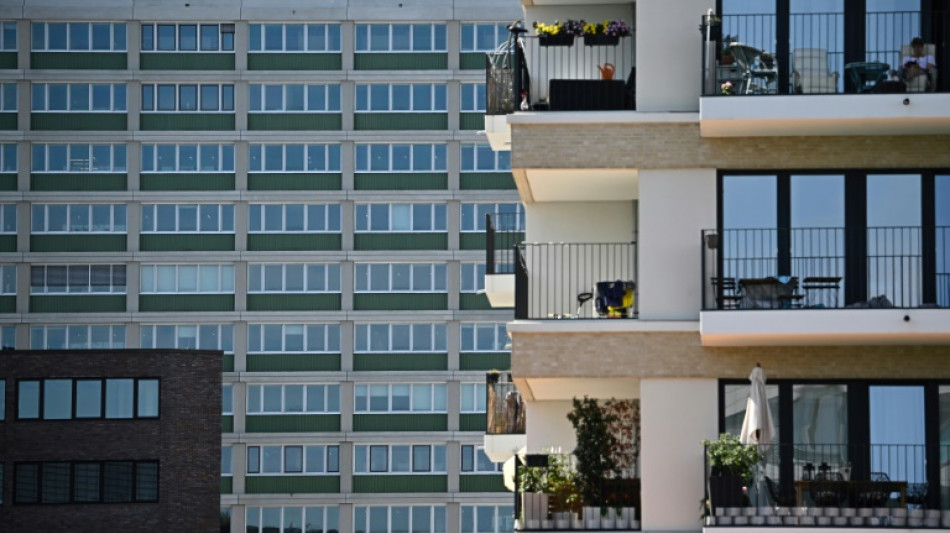 Ifo: Auftragsmangel im Wohnungsbau geht leicht zur&uuml;ck 