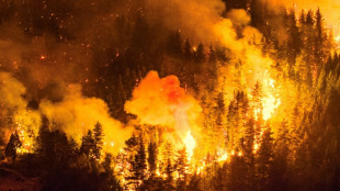 Argentina wildfire burns over 5,500 hectares: governor