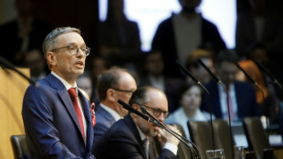 Parlament in &Ouml;sterreich hebt Immunit&auml;t von FP&Ouml;-Chef Kickl auf