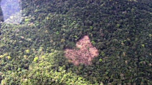 Nicaragua reclama al fondo climático de la ONU por cancelar un plan de reforestación