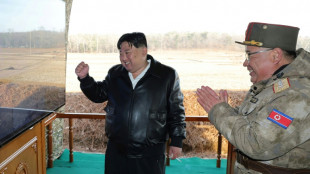 Nordkoreas Machthaber Kim beaufsichtigt Übungen mit "besonders großen" Mehrfachraketenwerfern