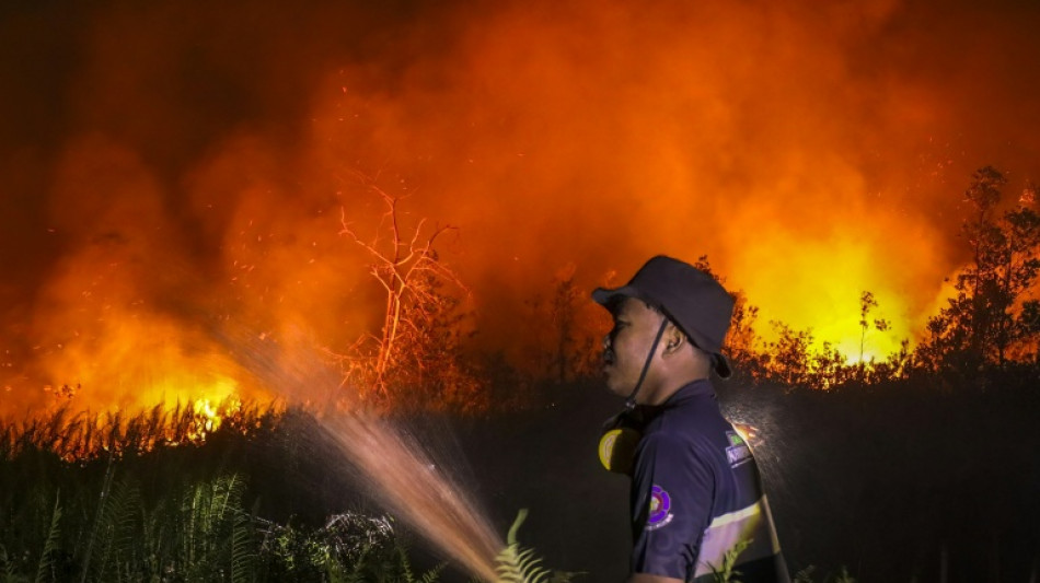  Damaged and drained, Indonesia's peatlands go up in smoke 