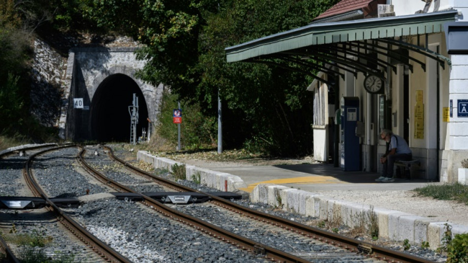 JO-2030: Veynes, "&eacute;toile ferroviaire" en d&eacute;clin, r&ecirc;ve de trains