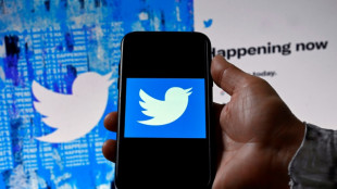 Une Saoudienne condamn&eacute;e &agrave; 34 ans de prison pour des posts sur Twitter