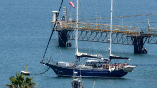 Bateau pour Gaza: Rima Hassan et les autres militants fran&ccedil;ais retenus en Isra&euml;l vont &ecirc;tre expuls&eacute;s