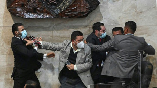 Fliegende F&auml;uste in Honduras' Parlament vor Vereidigung von neuer Pr&auml;sidentin