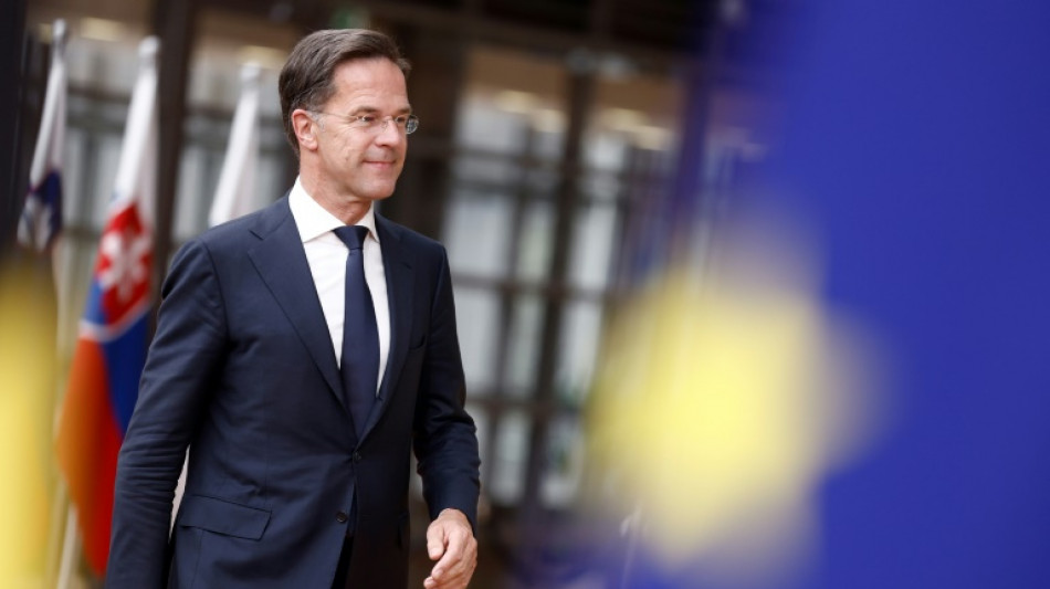 Dutch government collapses over migration row: media