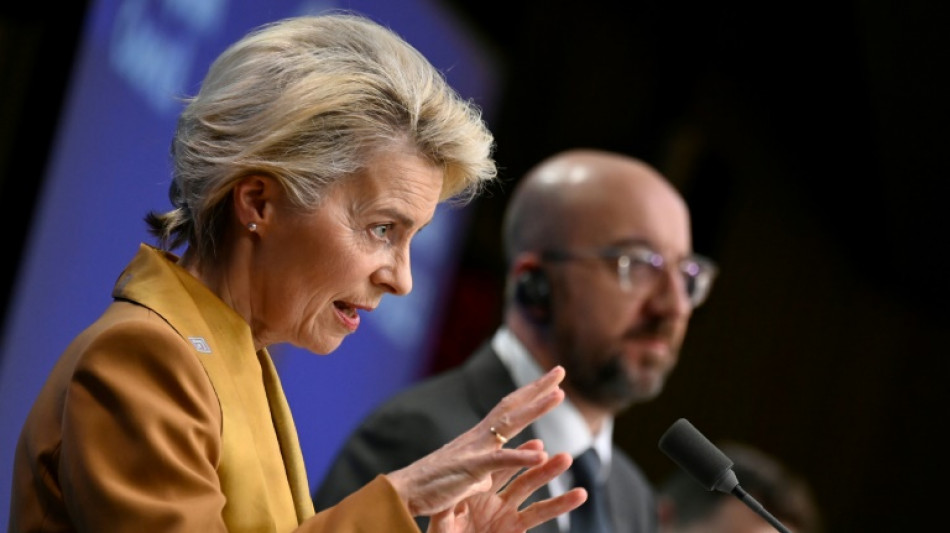 Automobile, nucl&eacute;aire sommet de l'UE sous le signe des tensions Paris-Berlin