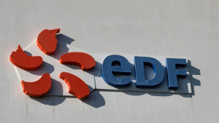 Appel "massif" &agrave; la gr&egrave;ve pour d&eacute;fendre le tarif de l'&eacute;nergie accord&eacute; par EDF &agrave; ses salari&eacute;s