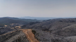 Waldbrände wüten weiter in Griechenland und Frankreich