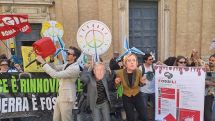Ong in piazza a Roma, 'pace è rinnovabile, guerra è fossile'