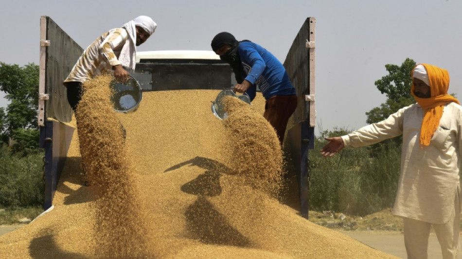 Le prix du blé atteint un record en clôture après l'embargo indien sur les exportations
