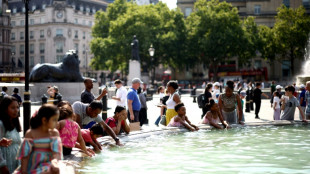 Rund 3000 Hitzetote in Sommern 2023 und 2024 in Deutschland