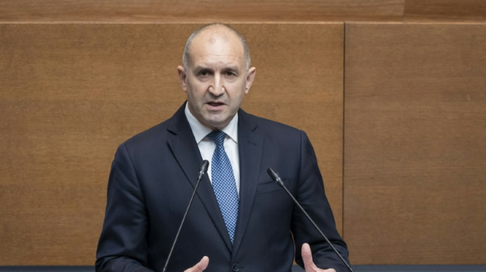  Merz empf&auml;ngt Bulgariens neuen Regierungschef Radew zu Gespr&auml;chen 