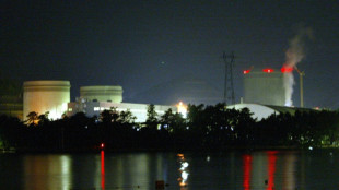 Japon: vers un nouveau r&eacute;acteur nucl&eacute;aire, le premier depuis Fukushima