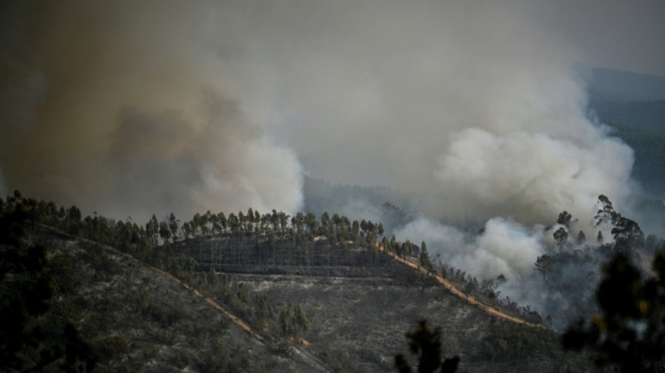 Feuerwehr bringt gr&ouml;&szlig;ten Waldbrand in Portugal vorerst unter Kontrolle