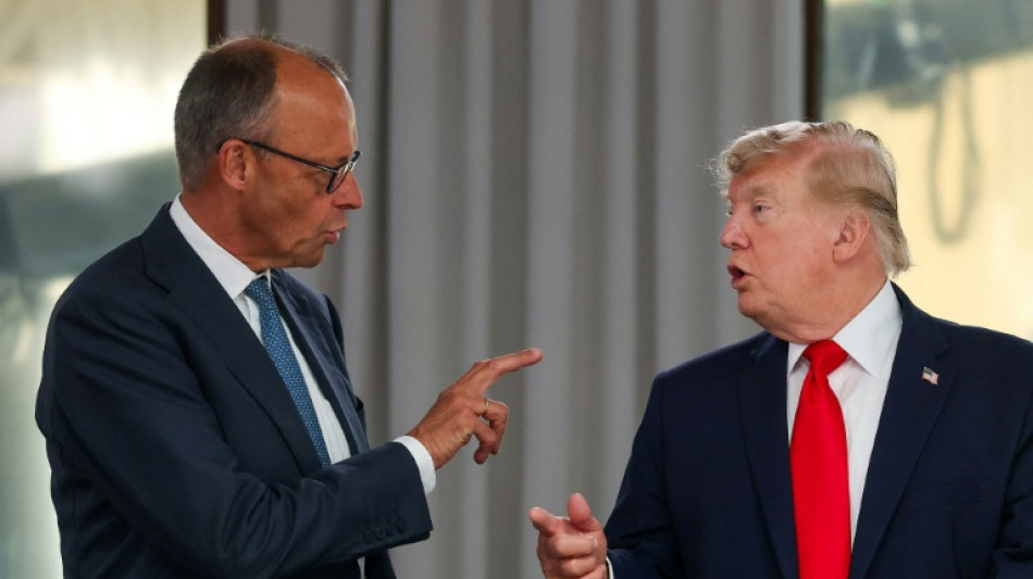 Merz nach Gespr&auml;ch mit Trump zuversichtlich &uuml;ber gemeinsames Vorgehen zur Ukraine 
