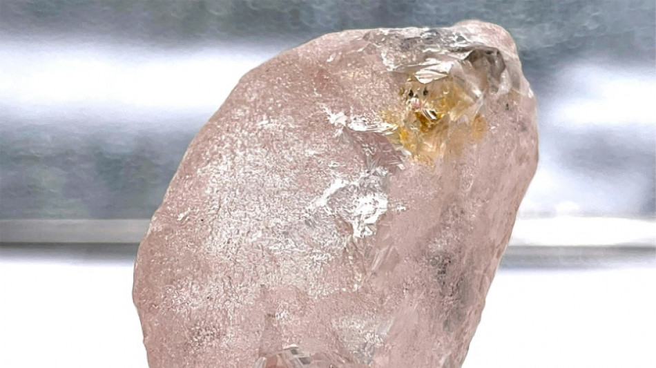 D&eacute;couverte d'un diamant rose consid&eacute;r&eacute; comme le plus gros en 300 ans