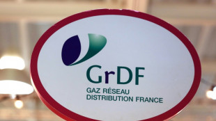 GRDF, Enedis : nouveaux mouvements de gr&egrave;ve pour les salaires dans l'&eacute;nergie