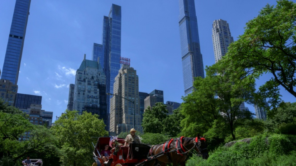  New York vote en faveur de l'interdiction des cal&egrave;ches de Central Park apr&egrave;s 20 ans de d&eacute;bats 